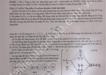 Đề thi học sinh giỏi cấp quốc gia môn hoá 2025 Ngày 1