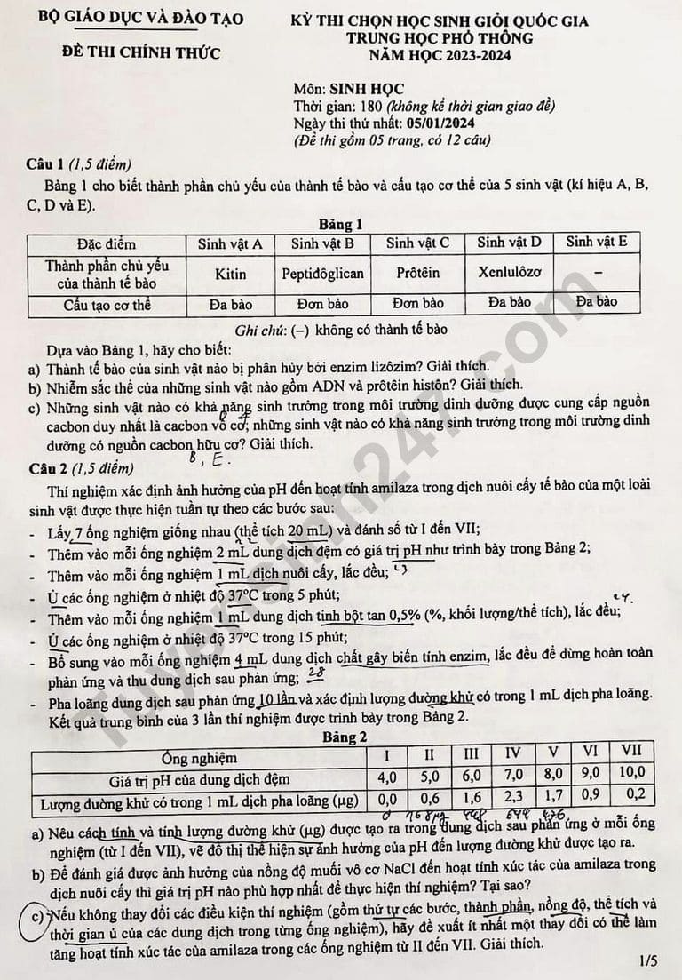 Đề thi học sinh giỏi Quốc gia môn Sinh học 2025