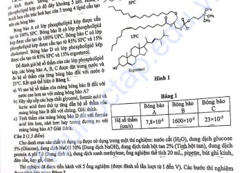 Đề thi học sinh giỏi Sinh học cấp Quốc gia năm học 2025 ngày 1