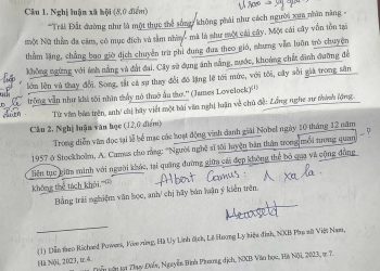 Đề thi học sinh giỏi Văn cấp Quốc gia năm học 2024 2025