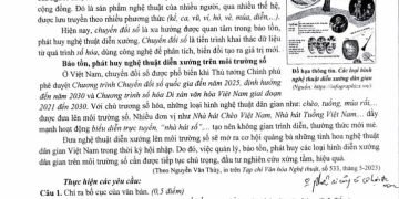 Đề thi văn cuối HK1 lớp 11 chuyên Lê Hồng Phong 2024