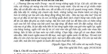 Đề thi Văn cuối HK1 lớp 7 THCS Triệu Sơn 2023 có đáp án