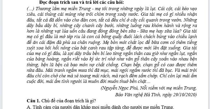 Đề thi Văn cuối HK1 lớp 7 THCS Triệu Sơn 2023 có đáp án