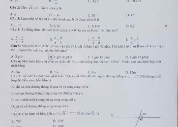 Đề thi toán lớp 7 HK1 THCS Marie Curie 2024 có đáp án