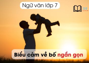 Viết bài văn biểu cảm về bố lớp 7 ngắn gọn nhất 8 điểm