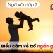Viết bài văn biểu cảm về bố lớp 7 ngắn gọn nhất 8 điểm