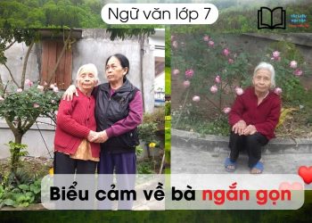 Viết bài văn biểu cảm về bà lớp 7 ngắn gọn nhất 9 điểm