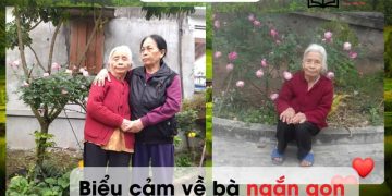 Viết bài văn biểu cảm về bà lớp 7 ngắn gọn nhất 9 điểm