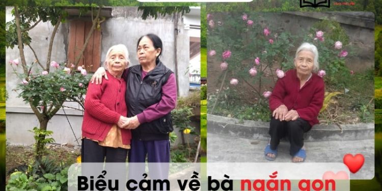 Viết bài văn biểu cảm về bà lớp 7 ngắn gọn nhất 9 điểm