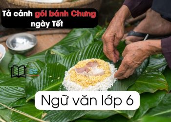 Tả cảnh gói bánh Chưng ngày Tết lớp 6 ngắn gọn 3 mẫu