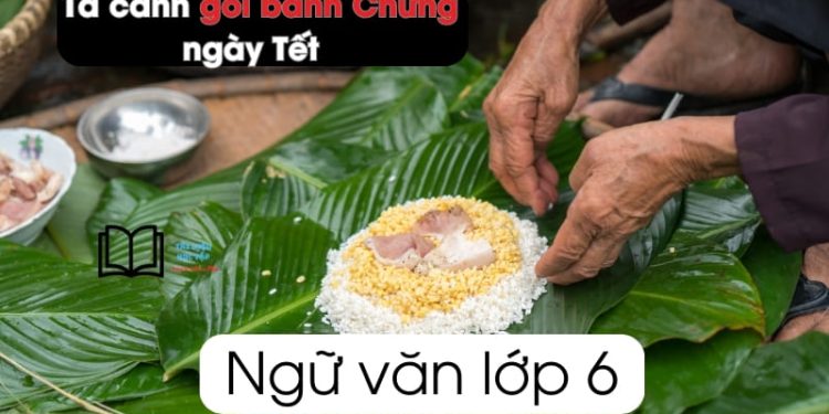 Tả cảnh gói bánh Chưng ngày Tết lớp 6 ngắn gọn 3 mẫu