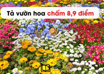 10 bài văn tả vườn hoa lớp 4,5 ngắn gọn nhất 8 điểm