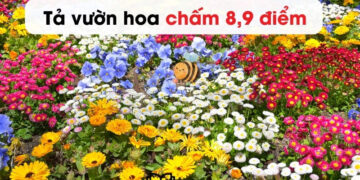 10 bài văn tả vườn hoa lớp 4,5 ngắn gọn nhất 8 điểm