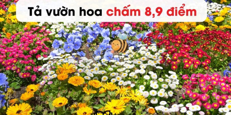 10 bài văn tả vườn hoa lớp 4,5 ngắn gọn nhất 8 điểm