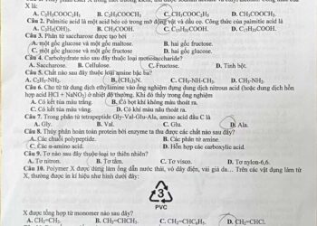 Đề thi Hoá cuối HK1 lớp 12 quận Tây Hồ 2024