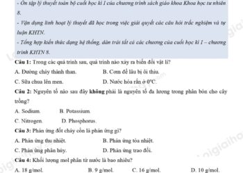 Đề ôn thi cuối HK1 môn KHTN lớp 8 đề 1 KNTT có đáp án
