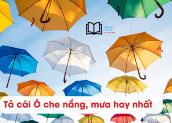 10 bài văn Tả cái Ô che nắng lớp 2,3 hay nhất