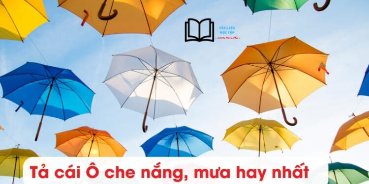 10 bài văn Tả cái Ô che nắng lớp 2,3 hay nhất