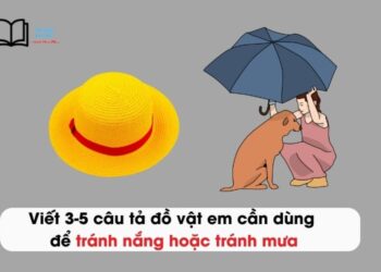 Viết 3-5 câu tả đồ vật em cần dùng để tránh nắng hoặc tránh mưa