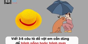 Viết 3-5 câu tả đồ vật em cần dùng để tránh nắng hoặc tránh mưa