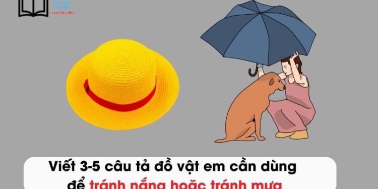 Viết 3-5 câu tả đồ vật em cần dùng để tránh nắng hoặc tránh mưa