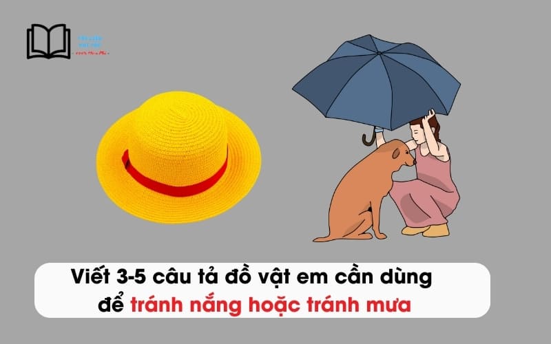 Viết 3-5 câu tả đồ vật em cần dùng để tránh nắng hoặc tránh mưa
