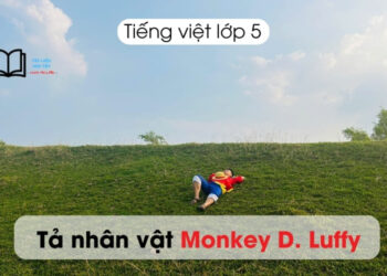 Bài văn tả Luffy lớp 5 và 3 ngắn gọn, hay nhất 10 điểm