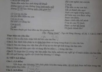 Đề thi KSCL lớp 12 môn ngữ văn tỉnh Phú Thọ 2025
