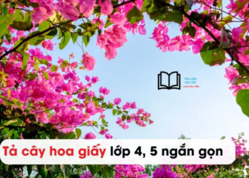 Văn tả Cây Hoa Giấy lớp 4 ngắn nhất 5 mẫu đạt 9 điểm