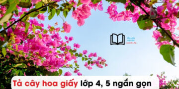 Văn tả Cây Hoa Giấy lớp 4 ngắn nhất 5 mẫu đạt 9 điểm