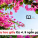 Văn tả Cây Hoa Giấy lớp 4 ngắn nhất 5 mẫu đạt 9 điểm