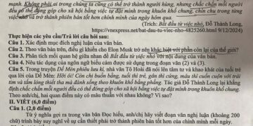Đề thi KSCL môn văn lớp 12 tỉnh Ninh Bình 2025 lần 2