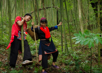 Viết bài văn tả một người là nhân vật chính trong bộ phim Đi Giữa Trời Rực Rỡ lớp 5