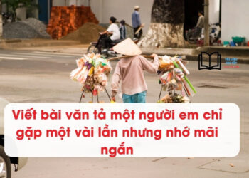 Viết bài văn tả một người em chỉ gặp một vài lần nhưng nhớ mãi ngắn