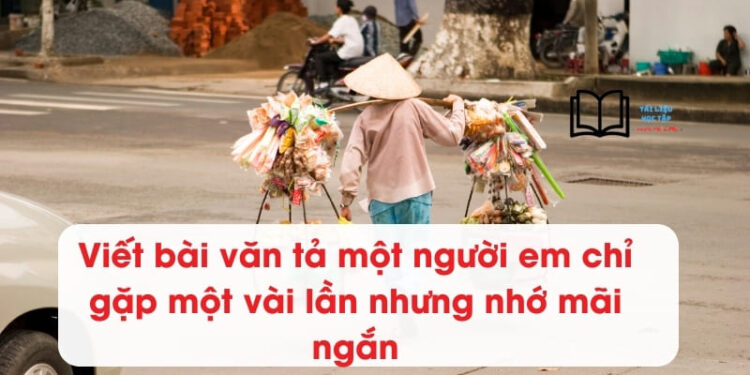 Viết bài văn tả một người em chỉ gặp một vài lần nhưng nhớ mãi ngắn