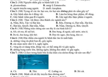 10 Đề thi khoa học tự nhiên lớp 6 giữa học kì 2 có đáp án