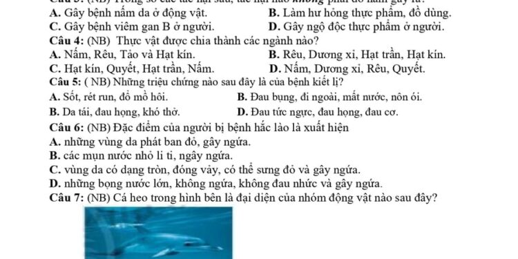 10 Đề thi khoa học tự nhiên lớp 6 giữa học kì 2 có đáp án