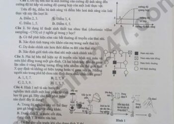 Đề thi khảo sát môn sinh học lớp 12 Hà Nội 2025