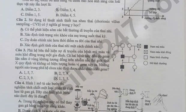 Đề thi khảo sát môn sinh học lớp 12 Hà Nội 2025