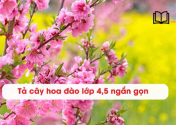 3 bài văn Tả cây hoa Đào lớp 4, 5 ngắn gọn điểm 9