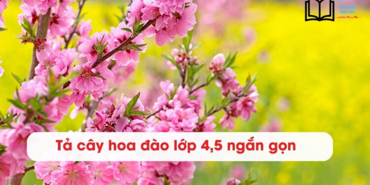 3 bài văn Tả cây hoa Đào lớp 4, 5 ngắn gọn điểm 9