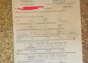 Đề thi khảo sát môn toán lớp 12 Hà Nội 2025 có đáp án