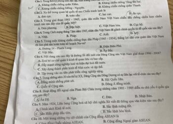 Đề thi khảo sát môn lịch sử Lớp 12 Hà Nội 2025 mã 0801