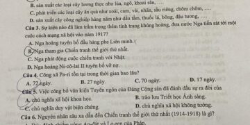 Đề thi LS & ĐL lớp 8 giữa học kì 2 Xuân Đỉnh 2025