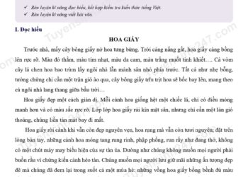 3 Đề thi tiếng việt lớp 5 giữa HK2 Kết Nối Tri Thức có đáp án