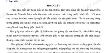 3 Đề thi tiếng việt lớp 5 giữa HK2 Kết Nối Tri Thức có đáp án