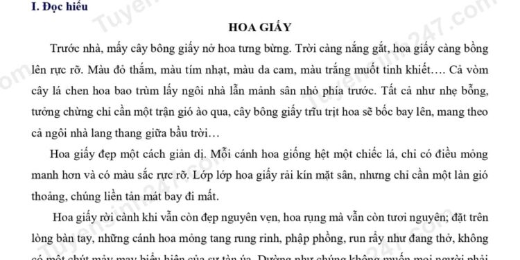 3 Đề thi tiếng việt lớp 5 giữa HK2 Kết Nối Tri Thức có đáp án