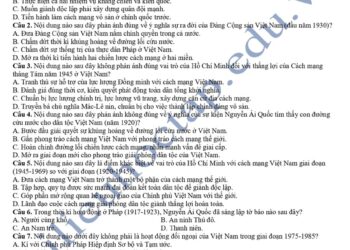 Đề thi lịch sử HK2 lớp 12 tỉnh Bắc Ninh 2025 có đáp án