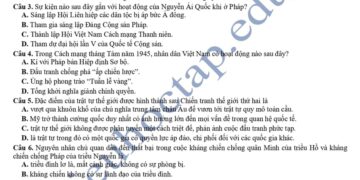 Đề thi khảo sát lớp 12 môn sử Hải Phòng 2025 có đáp án