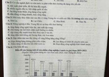 Đề thi khảo sát môn địa lí tỉnh Thái Bình 2025 có đáp án